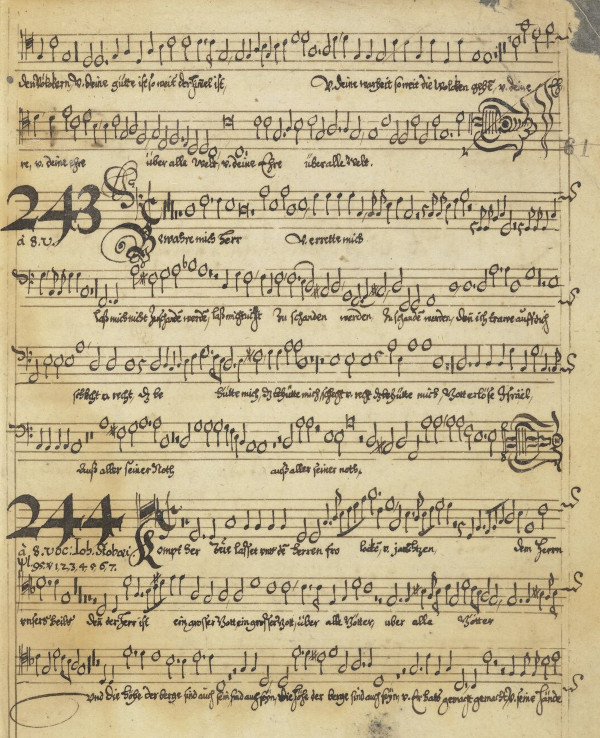 Ms. mus. Bártfa 17/e